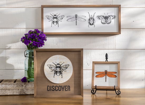 2022-06-chalkstyle-ck-etched-bugs